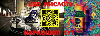 ПСИЛОЦИБИНОВЫЕ ГРИБЫ Камышлов