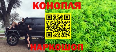 мяу мяу мука Канаш