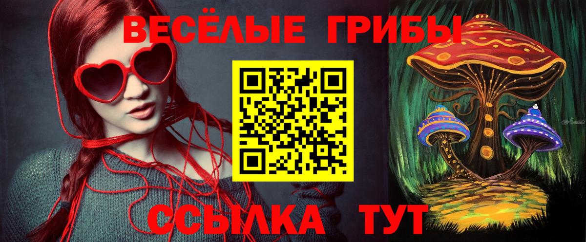 Псилоцибиновые грибы прущие грибы Туапсе